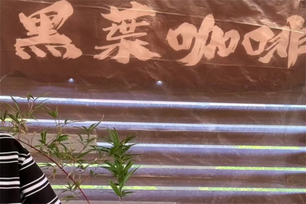 黑叶咖啡 黑叶咖啡