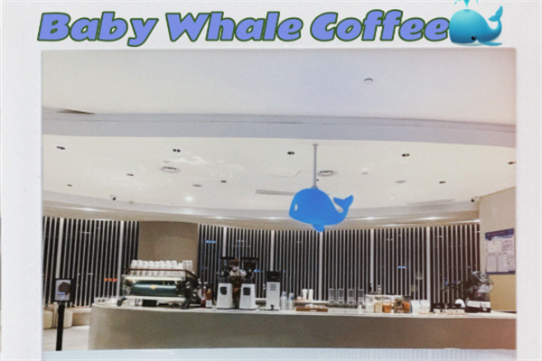 Baby Whale Coffee Baby Whale Coffee