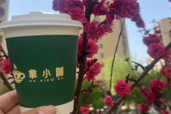 拿小咖