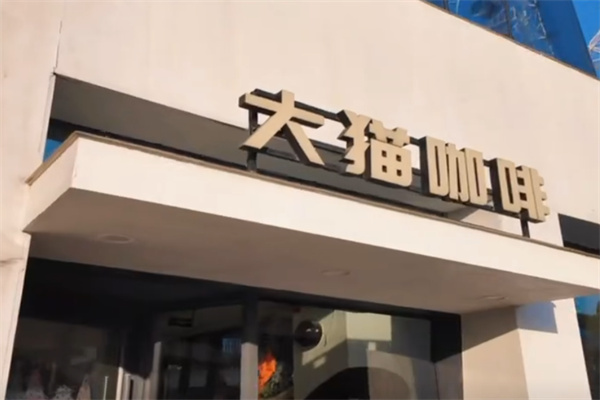 大貓咖啡 大貓咖啡