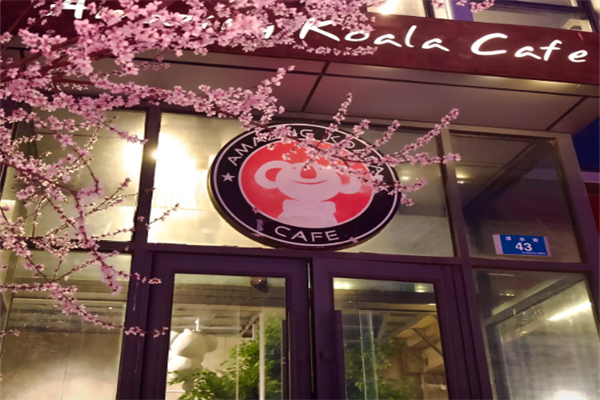 了不起的考拉咖啡店
