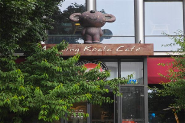 了不起的考拉咖啡店