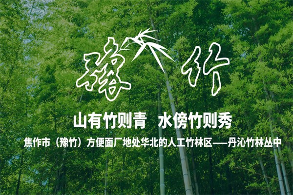 豫竹方便面 豫竹方便面