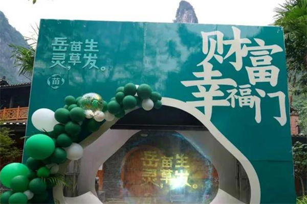 岳灵苗草生发养发馆