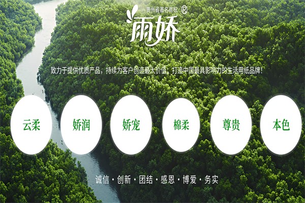 雨娇纸制品