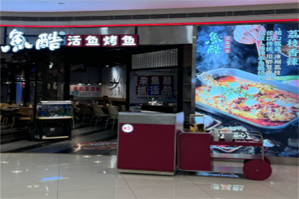 鱼酷 鱼酷