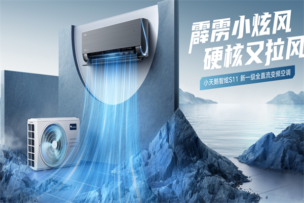 小天鹅厨卫电器
