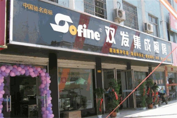 双发厨房电器