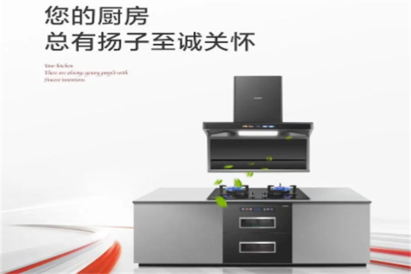 扬子厨电电器 扬子厨电电器