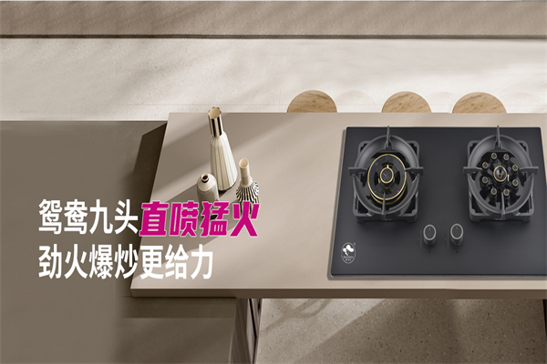 旺夫人厨卫电器 旺夫人厨卫电器