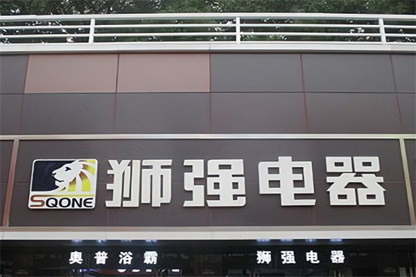 狮强厨卫电器 狮强厨卫电器
