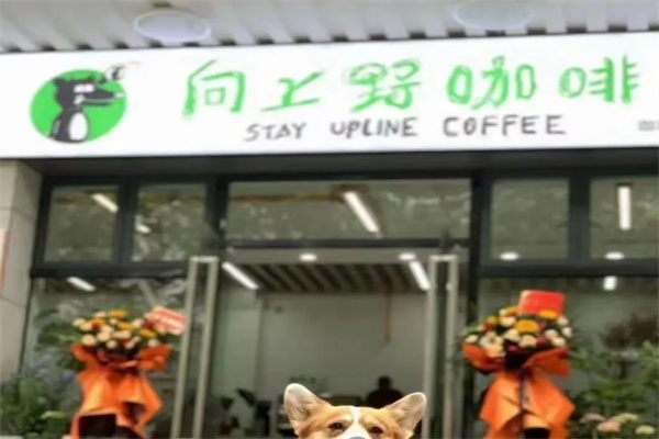 向上野咖啡