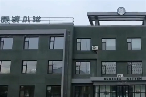 眼镜小猫瓜子