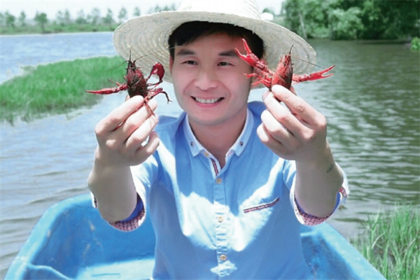 晓飞歌调味品 晓飞歌调味品