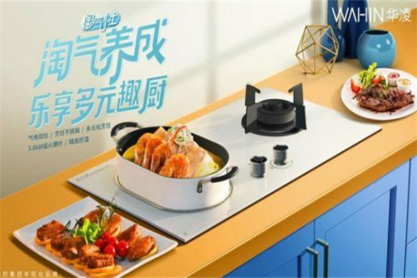华凌厨电 华凌厨电