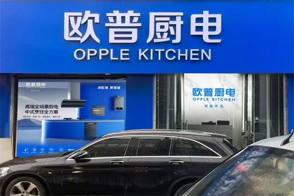 欧普厨卫电器
