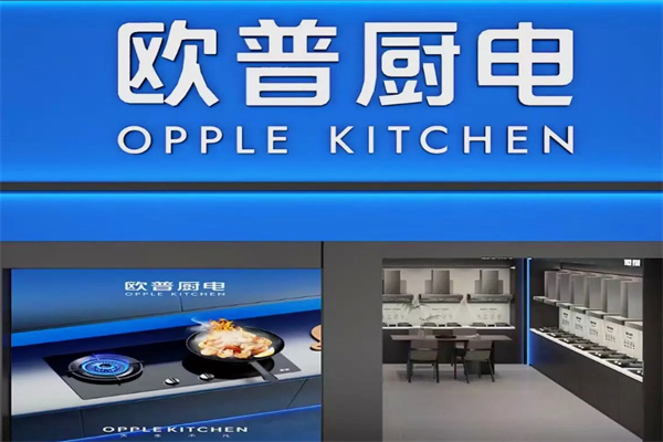 欧普厨电油烟机