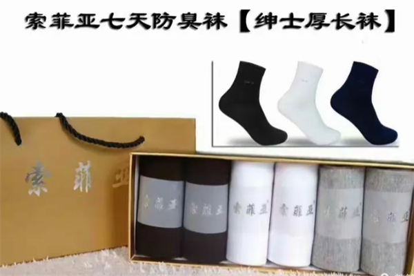 索菲亚袜业 索菲亚袜业