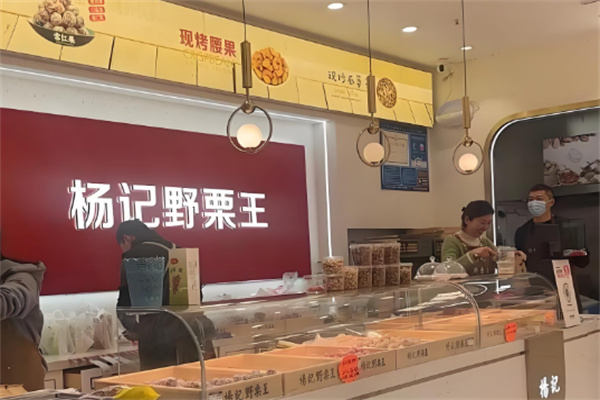 杨记野栗王