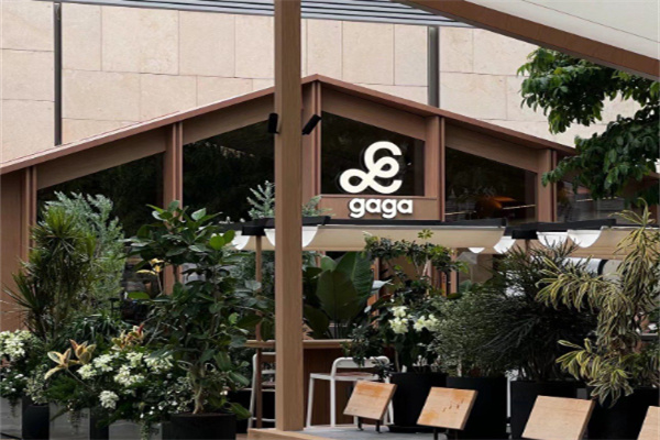 鲜语gaga面包