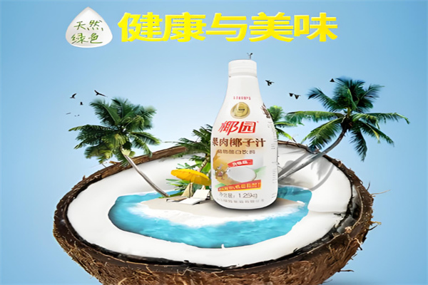 椰园椰子汁 椰园椰子汁