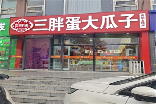 三胖蛋瓜子 三胖蛋瓜子
