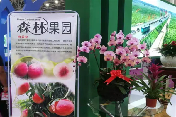 森林果园