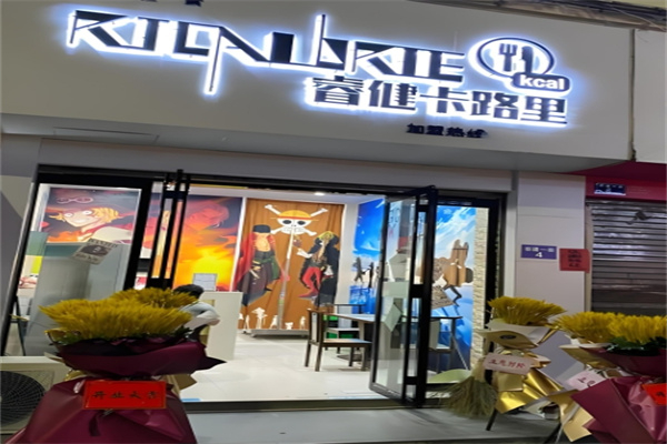 睿健卡路里