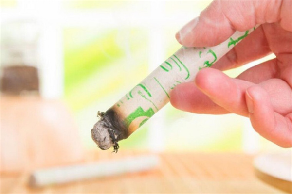 蕲艾艾灸馆 蕲艾艾灸馆