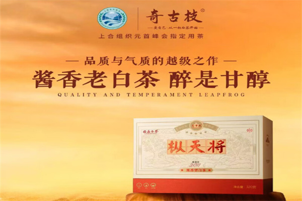 奇古枝白茶