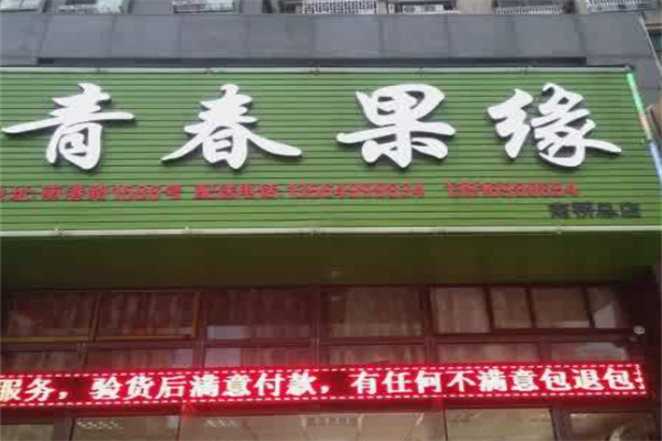青春果缘 青春果缘