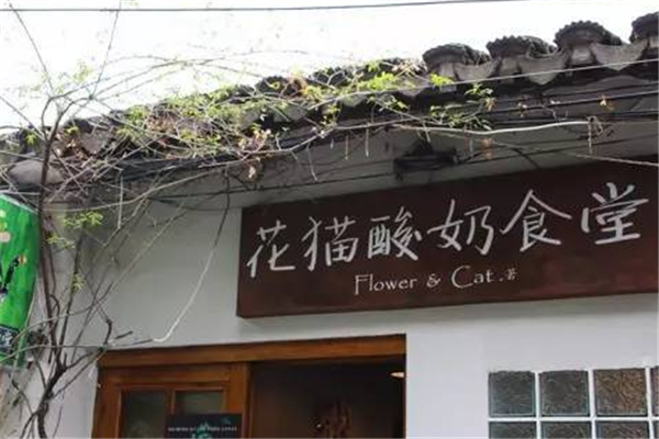 花猫食堂