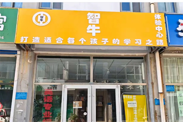 智牛英语