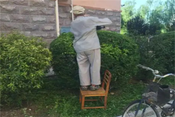 智仕物业