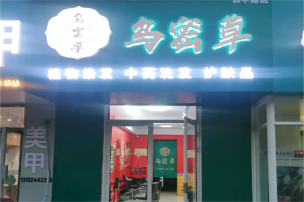 乌密草植物染发