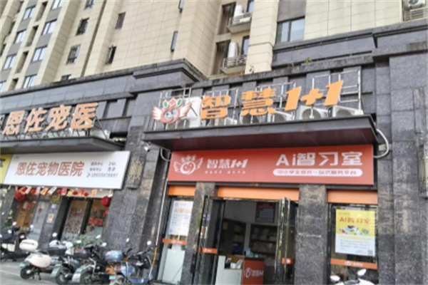 智慧一加一