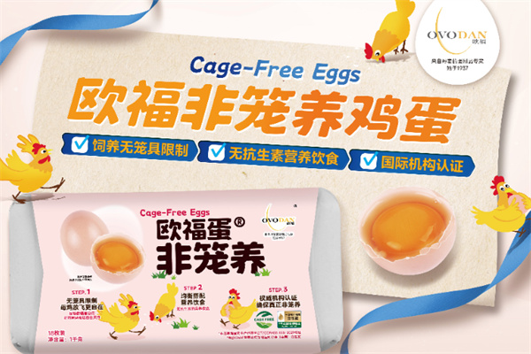 欧福蛋业 欧福蛋业