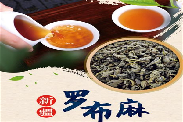 罗布麻茶加盟