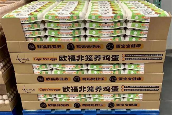 欧福蛋业 欧福蛋业