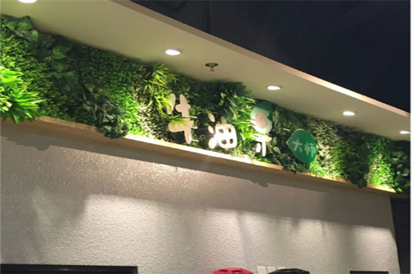 牛油果大师