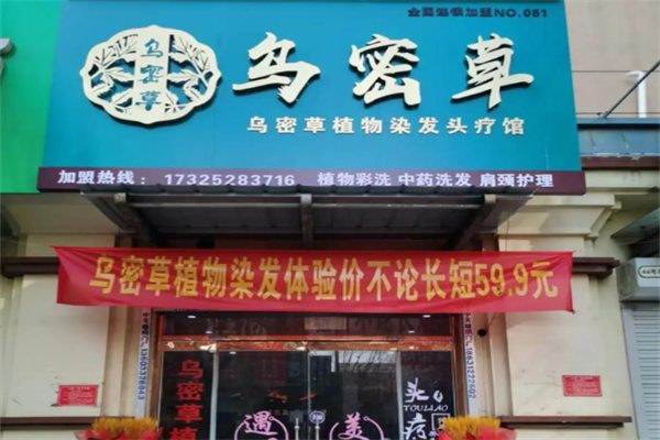 乌密草植物染发