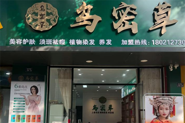 乌密草植物染发