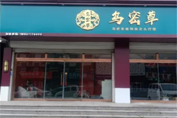 乌密草植物染发