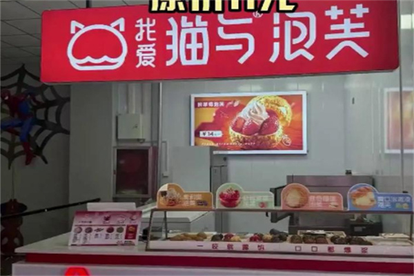 猫与泡芙