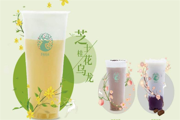 茶枝花露加盟