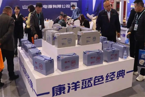 康洋电池 康洋电池