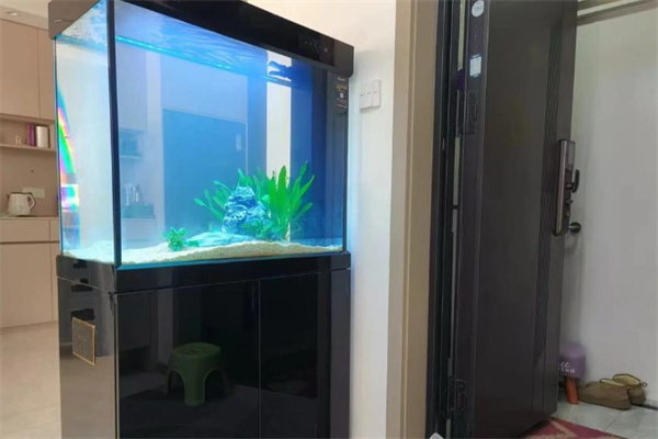 可丽爱鱼缸