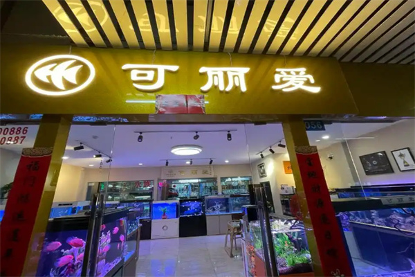 可丽爱鱼缸