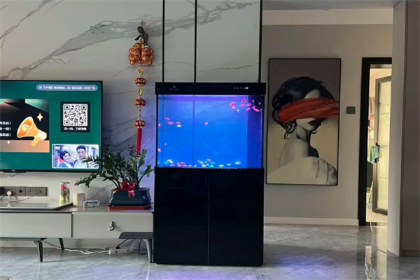 可丽爱鱼缸