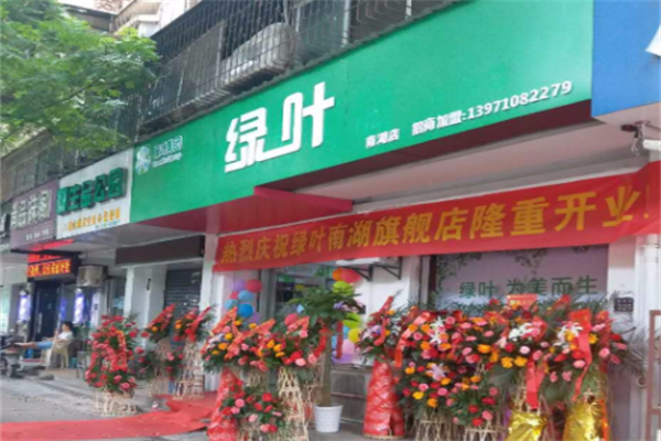 绿叶日用品